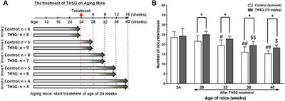 2,3,5,4′-Tetrahydroxystilbene-2-O-β-D-Glucoside improves female ovarian aging